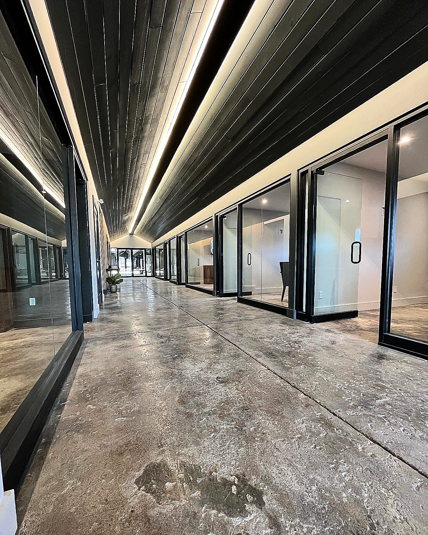 Modern commercial corridor with glass walls
